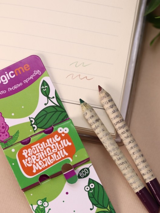 Набор растущих карандашей Magicme mini - Мята и Базилик (зеленый/коричневый) 