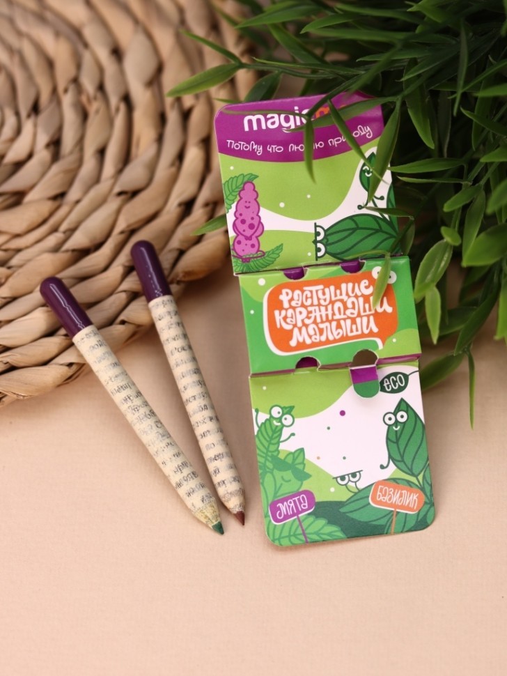 Набор растущих карандашей Magicme mini - Мята и Базилик (зеленый/коричневый)
