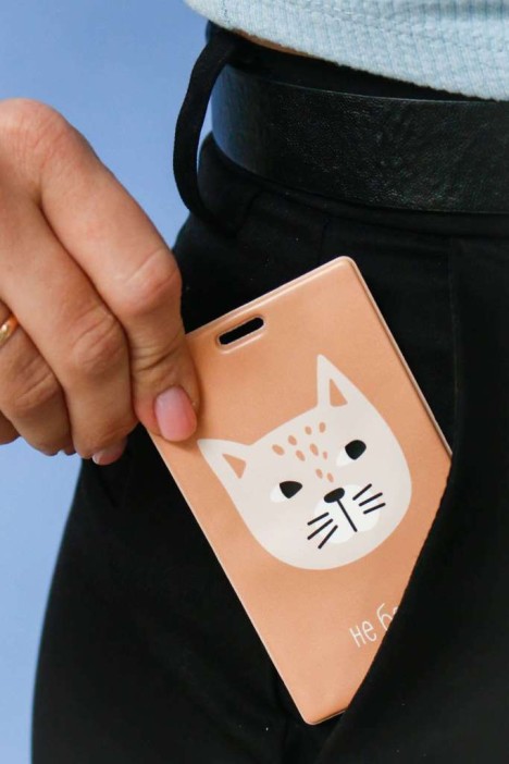 Держатель для карт «Не беси» (6,5 х 10,4 см) 