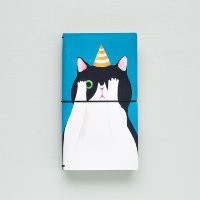 ПЛАННЕР "Кот играет в прятки" 