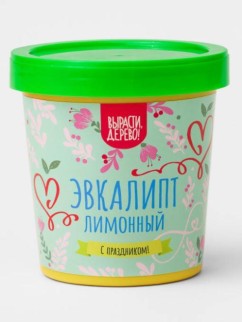 Набор подарочный для выращивания "Эвкалипт лимонный"