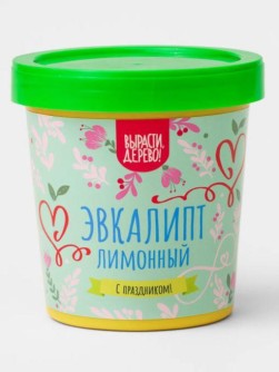 Набор подарочный для выращивания "Эвкалипт лимонный"