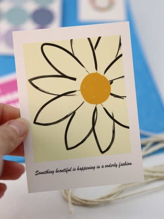 Упаковочный набор для подарков (2 листа+лента+открытка+5 наклеек) &quot;Serene joy&quot;, 50x70 см 