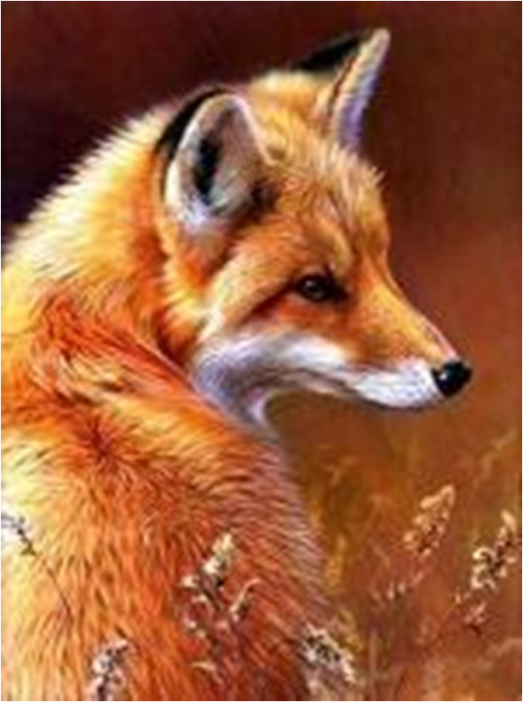 Алмазная мозаика без подрамника &quot;Лисица&quot;, 30х40 см 