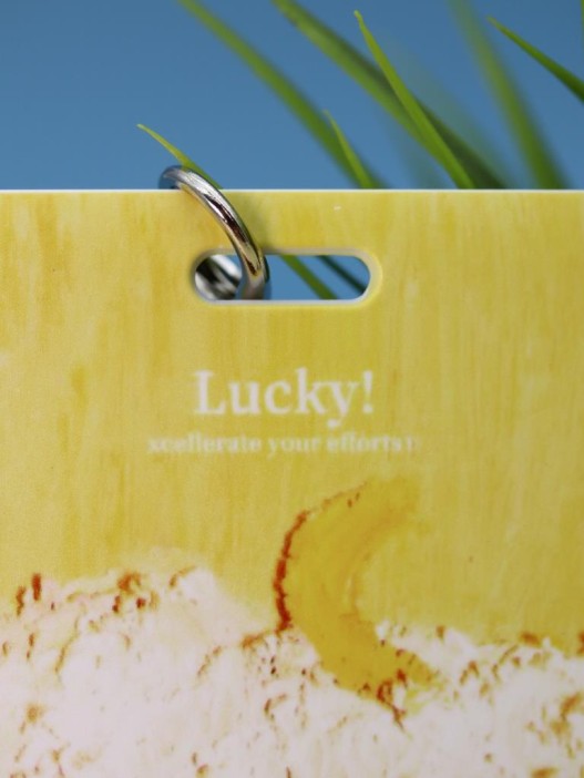 Футляр для карт "Summer colors", yellow-pink 