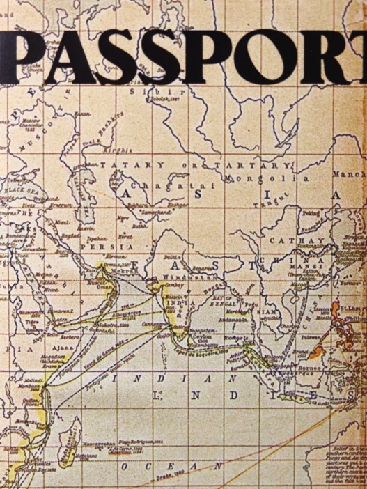 ОБЛОЖКА ДЛЯ ПАСПОРТА MAP, плотность 600 мкм 