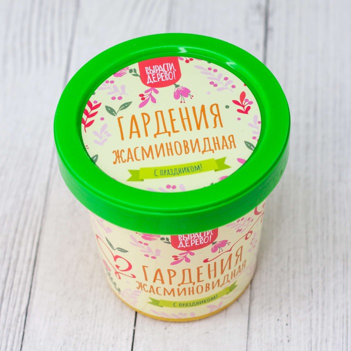 Набор подарочный для выращивания &quot;Гардения жасминовидная&quot; 