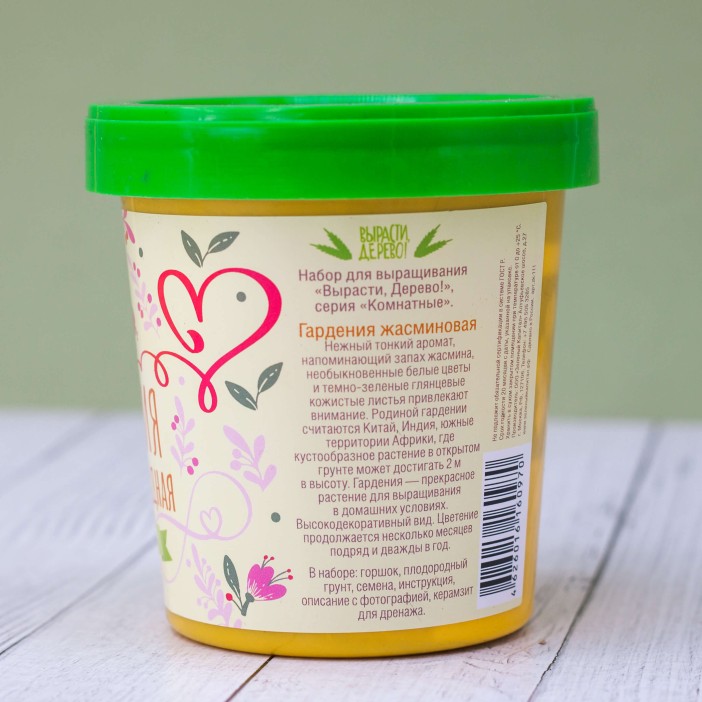Набор подарочный для выращивания &quot;Гардения жасминовидная&quot; 