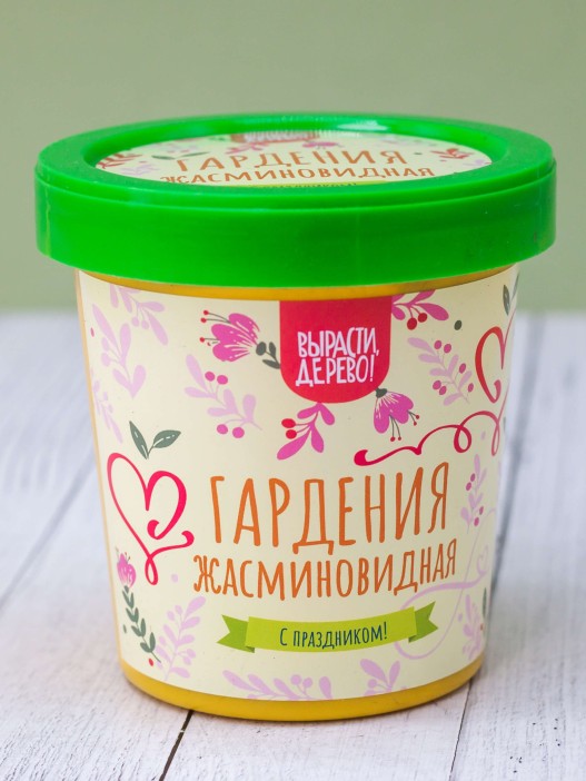 Набор подарочный для выращивания &quot;Гардения жасминовидная&quot; 
