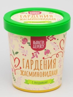 Набор подарочный для выращивания "Гардения жасминовидная"