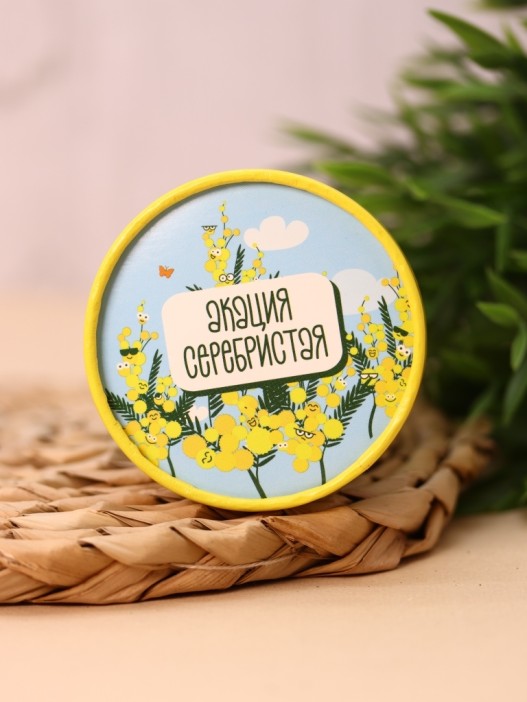 Набор для выращивания Ecolife &quot;Акация Серебристая&quot; 