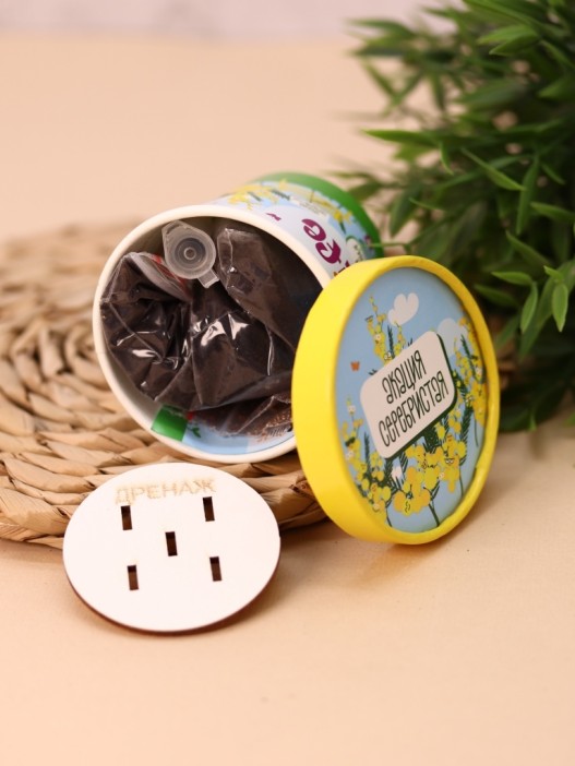 Набор для выращивания Ecolife &quot;Акация Серебристая&quot; 