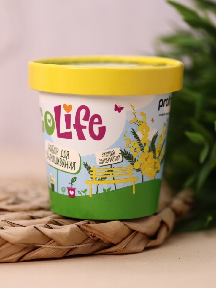 Набор для выращивания Ecolife "Акация Серебристая"