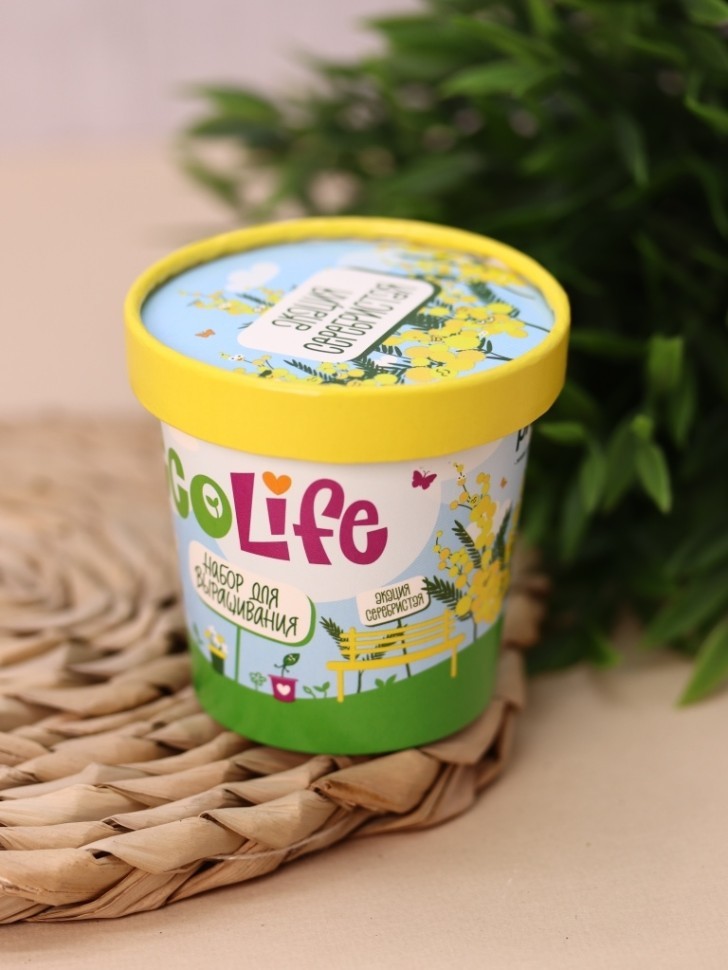 Набор для выращивания Ecolife "Акация Серебристая"