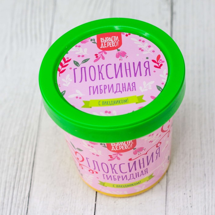 Набор подарочный для выращивания &quot;Глоксиния гибридная&quot; 