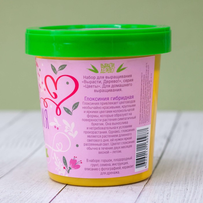 Набор подарочный для выращивания &quot;Глоксиния гибридная&quot; 