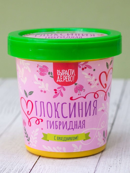 Набор подарочный для выращивания &quot;Глоксиния гибридная&quot; 