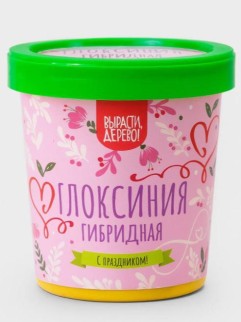 Набор подарочный для выращивания "Глоксиния гибридная"