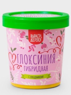 Набор подарочный для выращивания "Глоксиния гибридная"