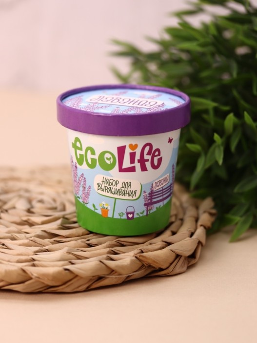 Набор для выращивания Ecolife "Лаванда" 
