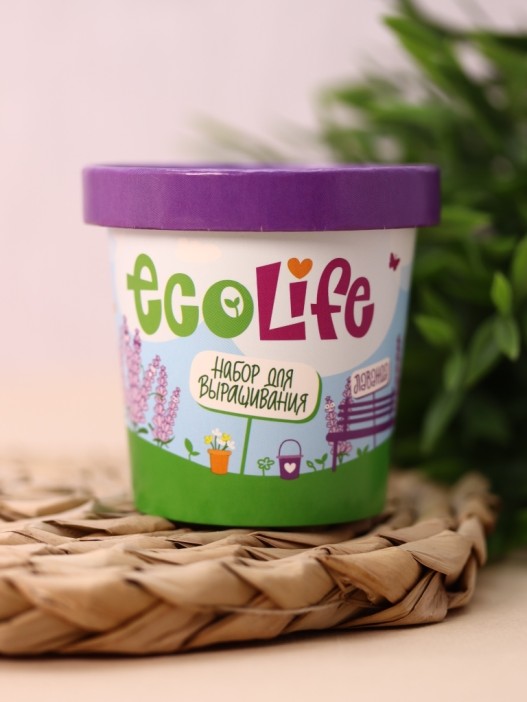 Набор для выращивания Ecolife "Лаванда" 
