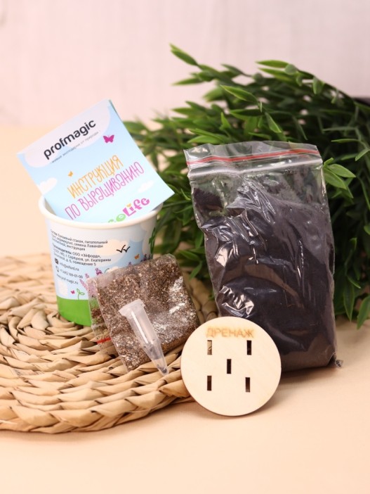 Набор для выращивания Ecolife "Лаванда" 