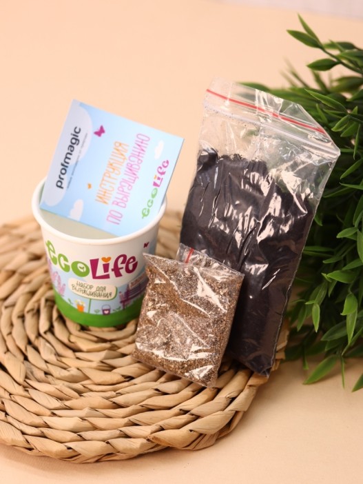 Набор для выращивания Ecolife "Лаванда" 