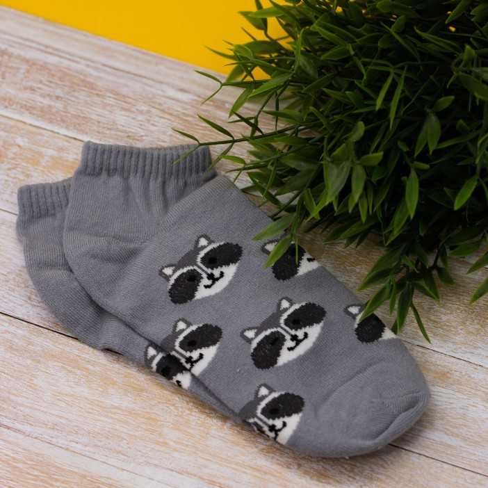 Носки женские &quot;Raccoon&quot;, серый, р. 35-40 