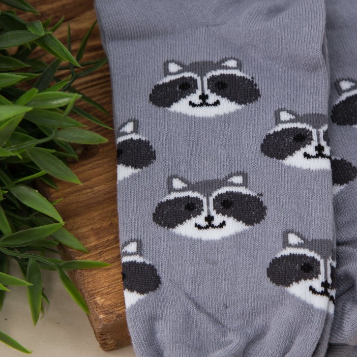 Носки женские &quot;Raccoon&quot;, серый, р. 35-40 