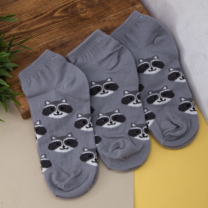 Носки женские &quot;Raccoon&quot;, серый, р. 35-40 