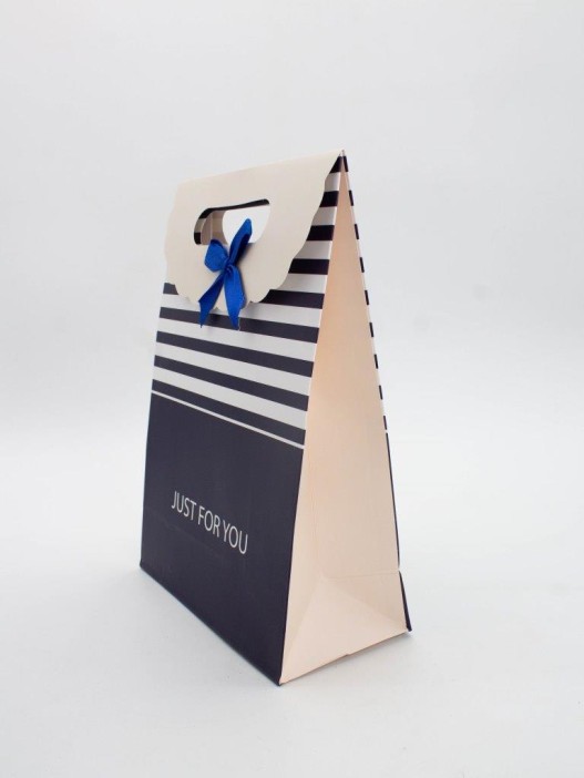 Пакет подарочный (M) &quot;Many stripes&quot;, blue (19x 9 x 27) 