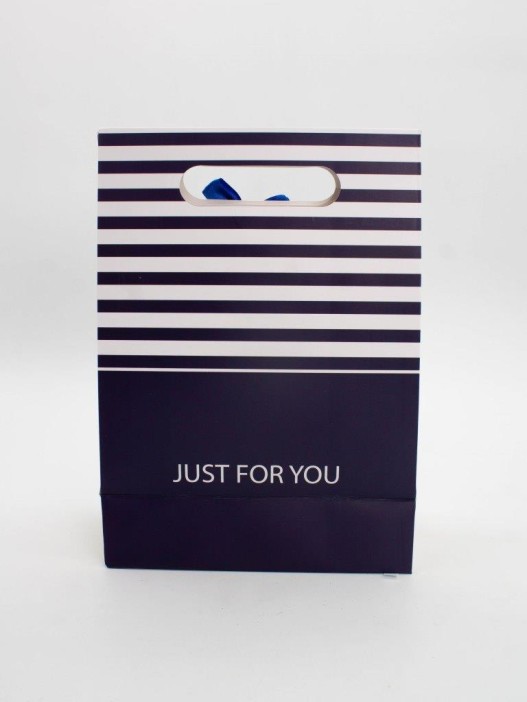 Пакет подарочный (M) &quot;Many stripes&quot;, blue (19x 9 x 27) 