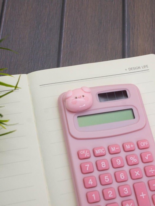 Калькулятор "Smart pig", pink 