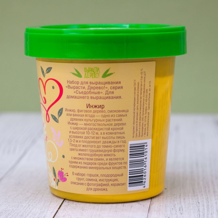 Набор подарочный для выращивания "Инжир" 
