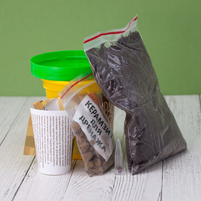 Набор подарочный для выращивания "Инжир" 