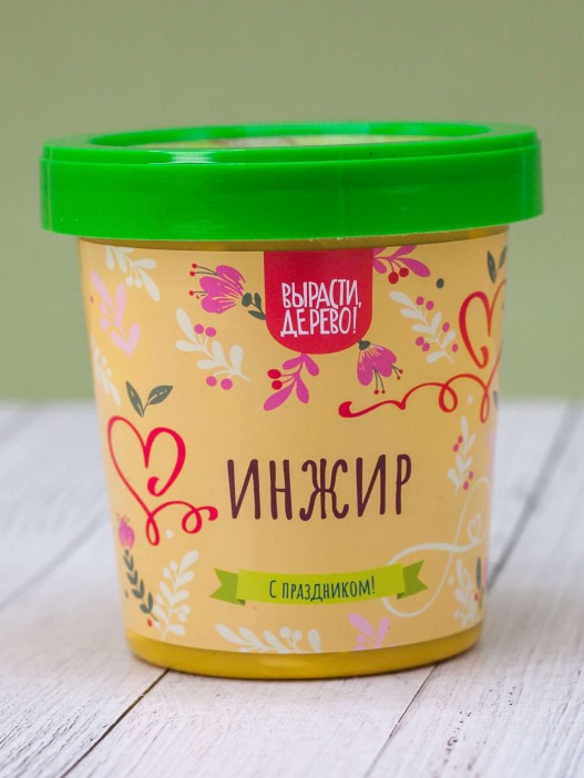 Набор подарочный для выращивания "Инжир" 