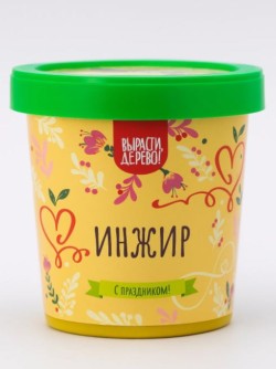 Набор подарочный для выращивания "Инжир"