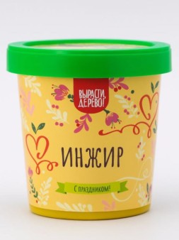 Набор подарочный для выращивания "Инжир"