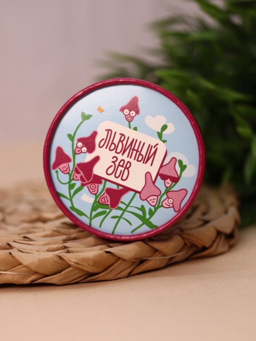 Набор для выращивания Ecolife &quot;Львиный зев&quot; 