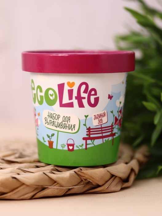 Набор для выращивания Ecolife &quot;Львиный зев&quot; 