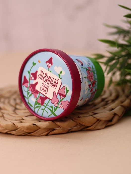 Набор для выращивания Ecolife &quot;Львиный зев&quot; 