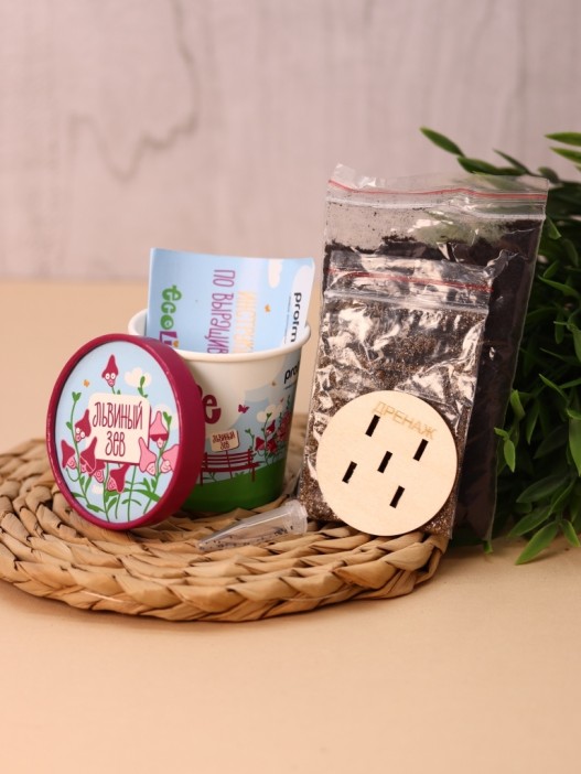 Набор для выращивания Ecolife &quot;Львиный зев&quot; 