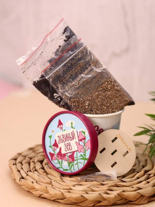 Набор для выращивания Ecolife &quot;Львиный зев&quot; 