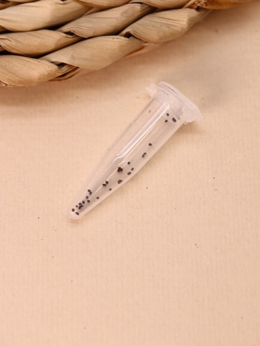 Набор для выращивания Ecolife &quot;Львиный зев&quot; 