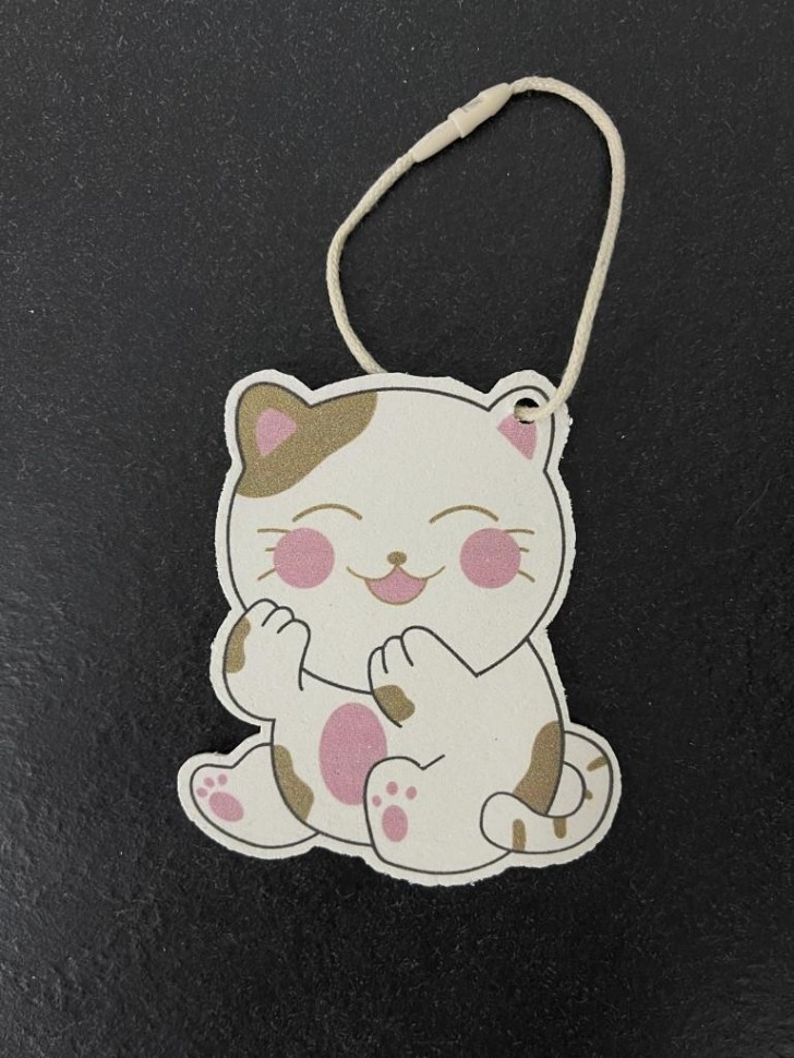 ЭКО губка для посуды "Funny kitty"