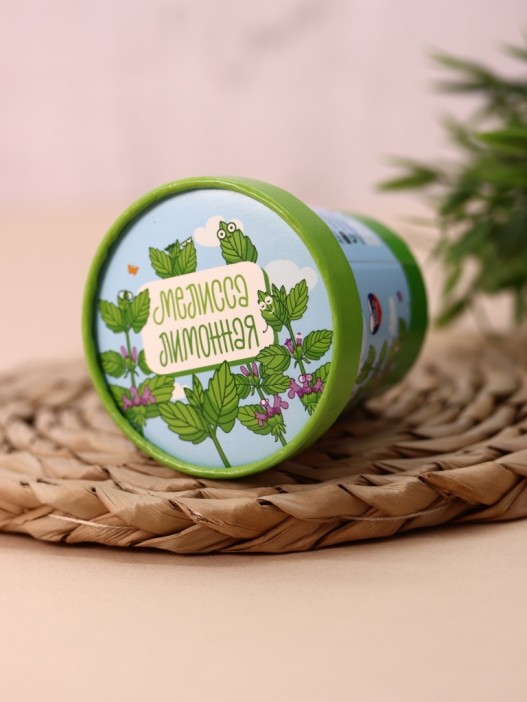 Набор для выращивания Ecolife &quot;Мелисса&quot; 