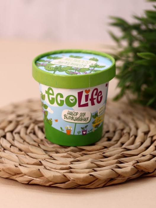 Набор для выращивания Ecolife &quot;Мелисса&quot; 