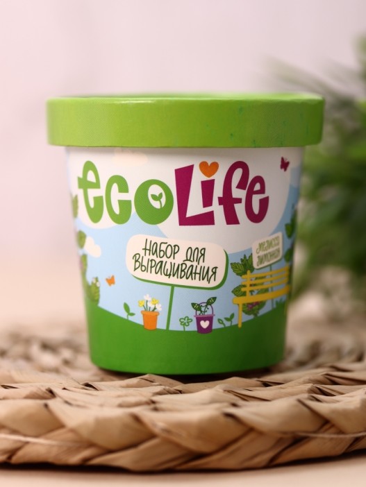 Набор для выращивания Ecolife &quot;Мелисса&quot; 