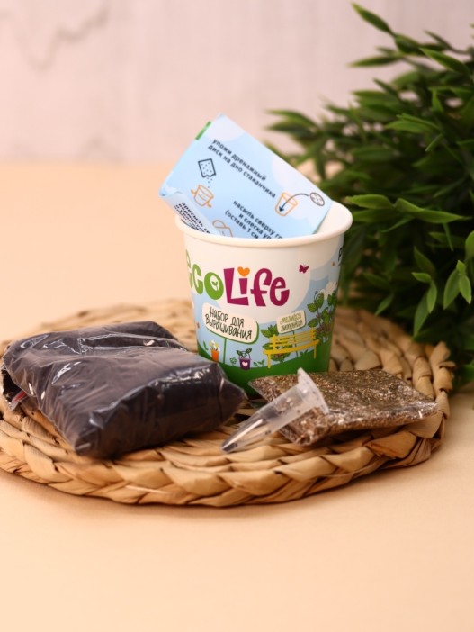 Набор для выращивания Ecolife &quot;Мелисса&quot; 