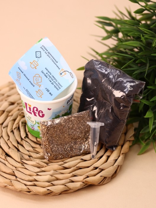 Набор для выращивания Ecolife &quot;Мелисса&quot; 